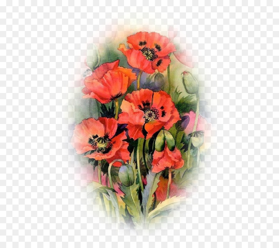 900x800 Oriental Poppies Watercolor Painting Common Poppy - Oriental Poppies Painting