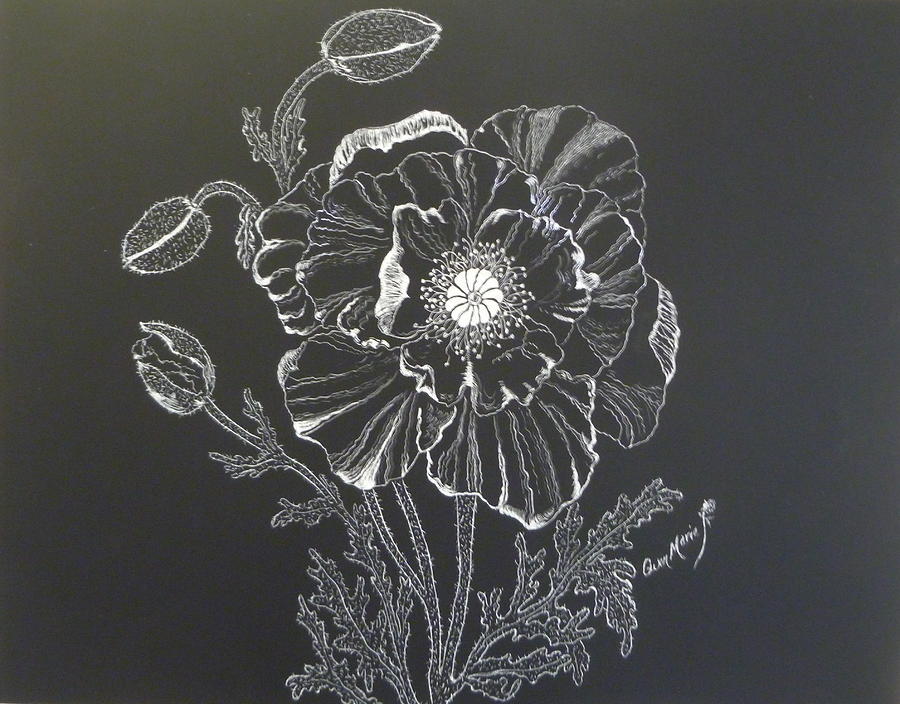 900x704 Oriental Poppy Painting By Gwen Rose - Oriental Poppies Painting