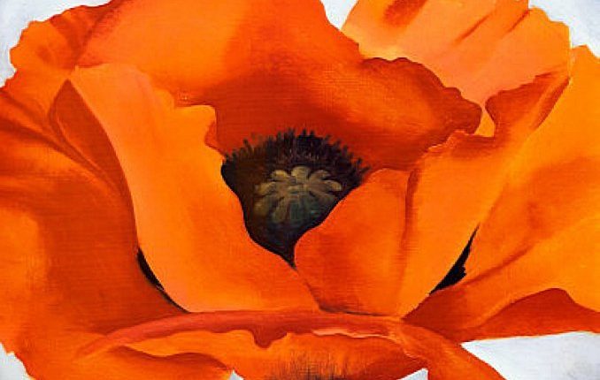 678x430 Her Most Famous Painting (Oriental Poppies) - Oriental Poppies Painting