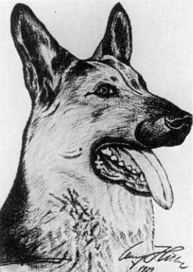 281x396 Signed Drawing Of Hitler's Dog Aesthetics And Politics - Original Hitler Painting