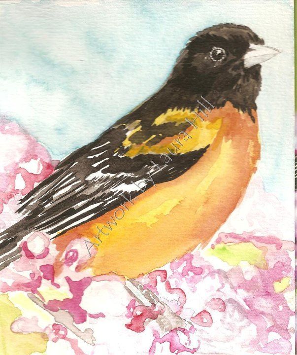603x720 Baltimore Oriole Bird Watercolor Painting Artwork By Laura Hill - Oriole Painting