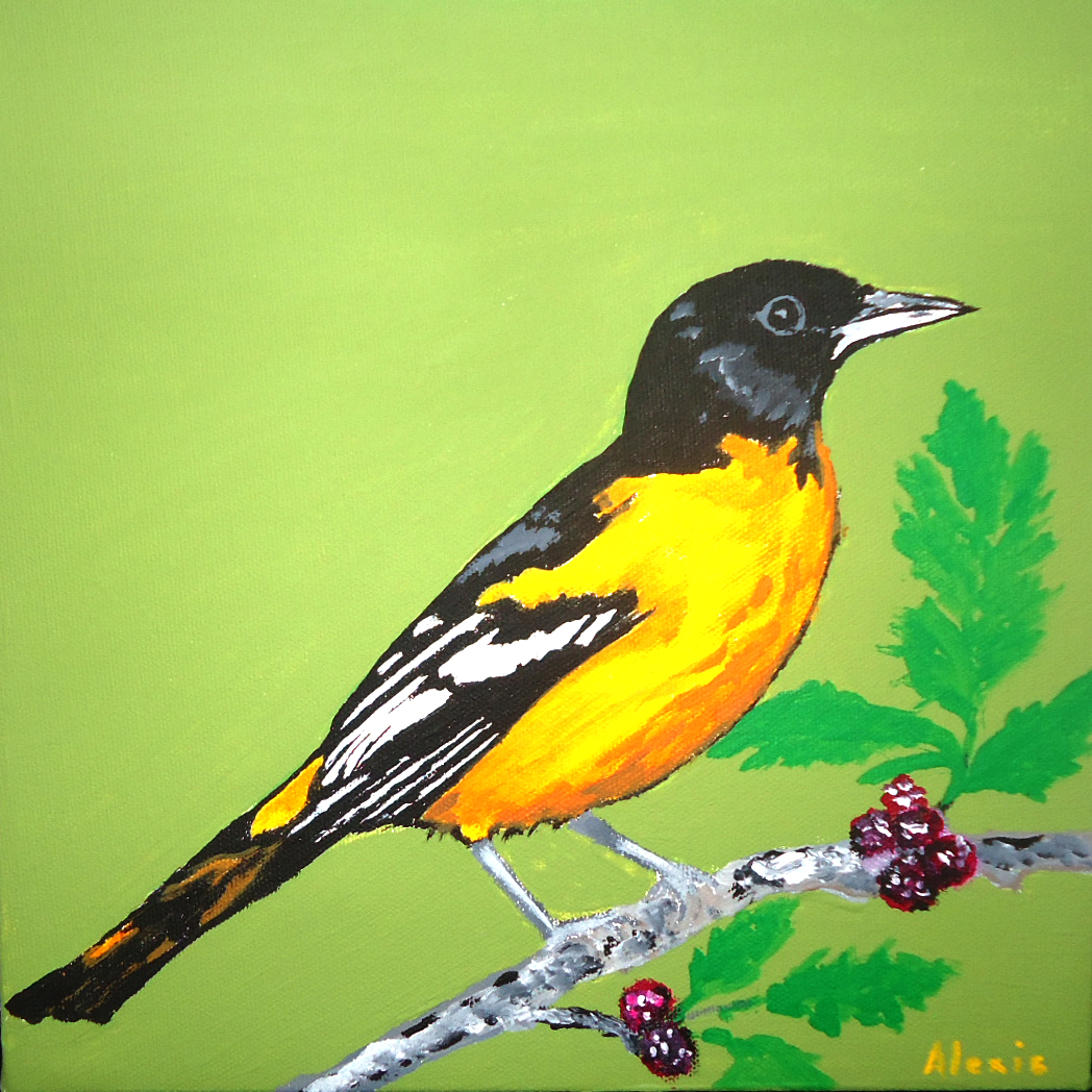 1048x1048 Baltimore Oriole Painting - Oriole Painting