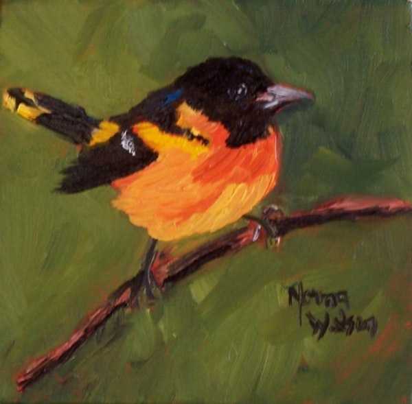 600x589 Norma Wilson Original Oil Baltimore Oriole Bird Art By Artist - Oriole Painting