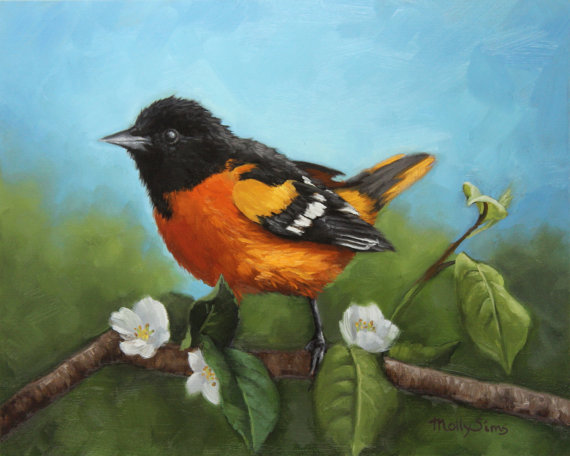 570x456 Baltimore Oriole Maryland Bird Bird Painting Orange - Oriole Painting
