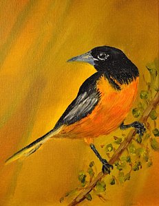 231x300 Baltimore Oriole Painting By James Higgins - Oriole Painting