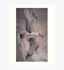 210x230 Osprey Painting Amp Mixed Media Gifts Amp Merchandise Redbubble - Osprey Painting