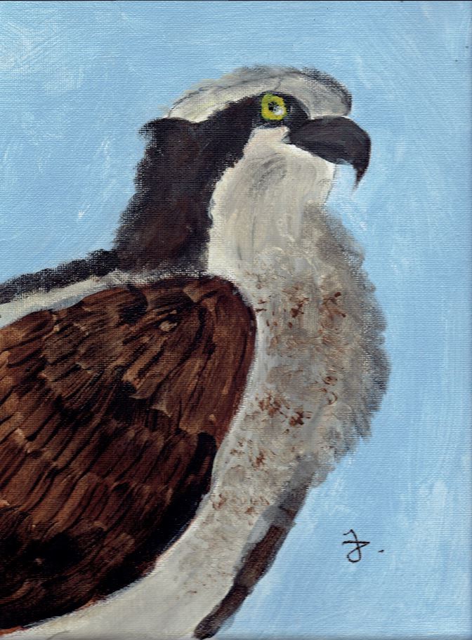 672x912 Osprey Painting By Hydrona - Osprey Painting