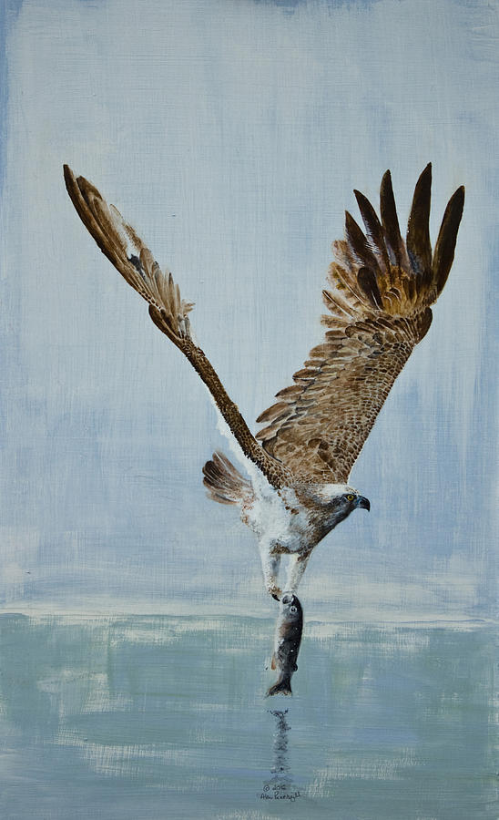 548x900 Osprey With Fish Painting By Alan Pickersgill - Osprey Painting