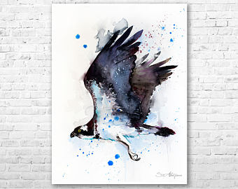 340x270 Osprey Art Etsy - Osprey Painting