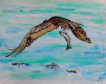 340x270 Osprey Painting Etsy - Osprey Painting