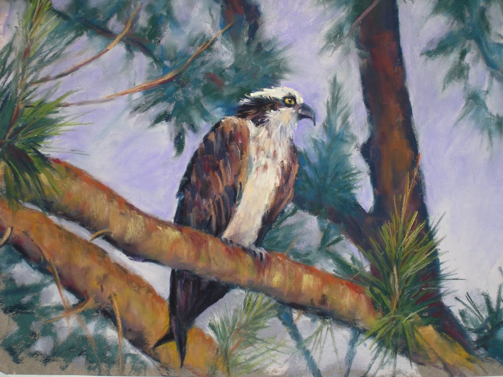 1024x768 Painting My World Osprey Morning - Osprey Painting