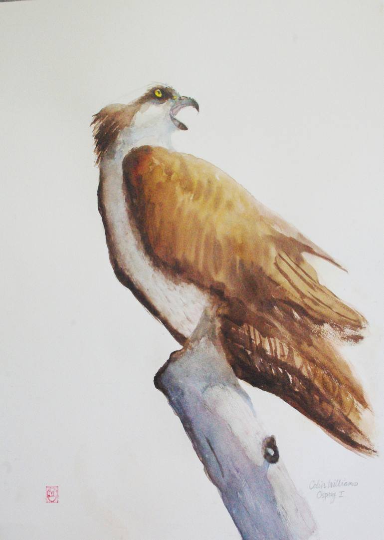 770x1082 Saatchi Art Osprey 2 On Dead Tree Painting By Colin Williams - Osprey Painting