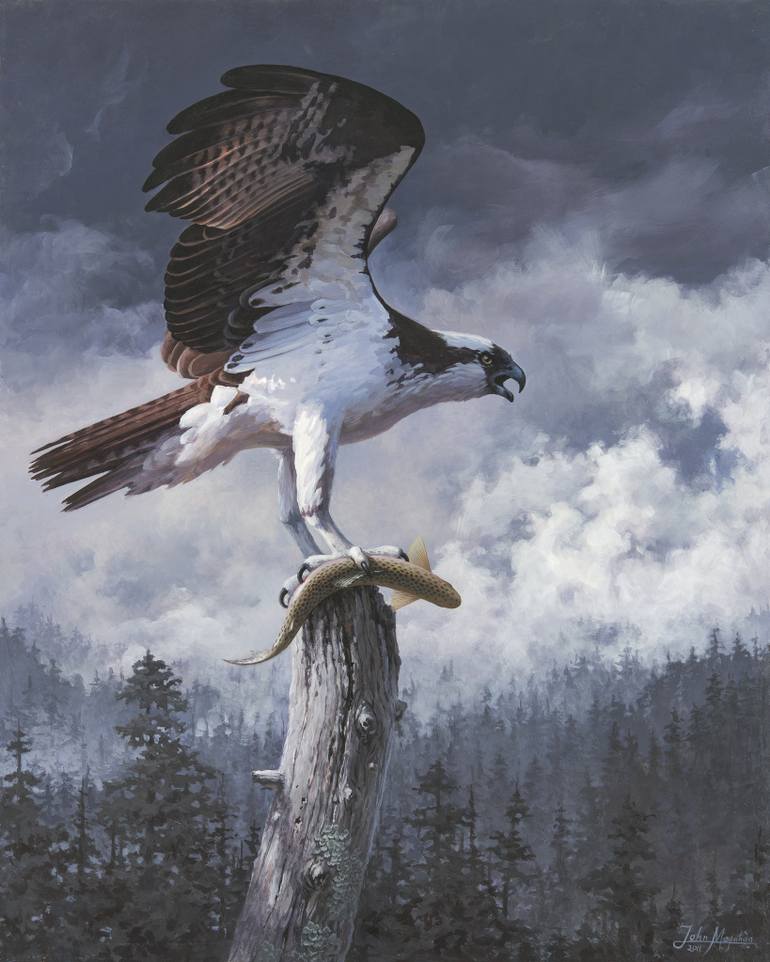 770x962 Saatchi Art Osprey Painting By John Megahan - Osprey Painting