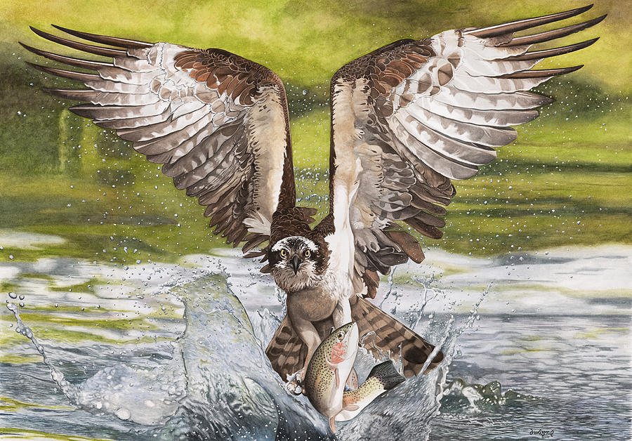 900x628 Tickle Bird Painting By Dwayne James - Osprey Painting