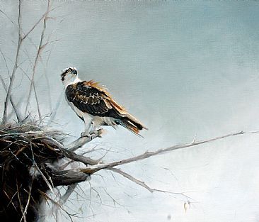 366x313 Osprey Artwork Osprey - Osprey Painting