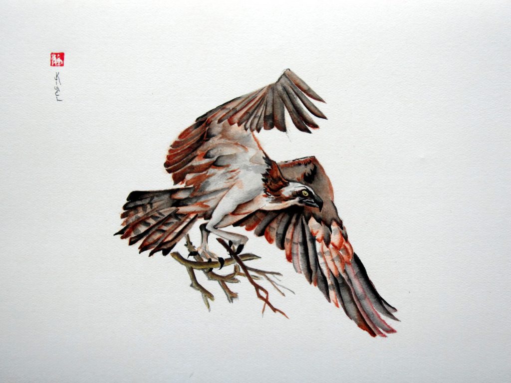 1024x768 Nesting Osprey - Osprey Painting