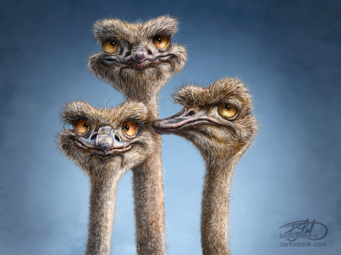 700x525 A Trio Of Ostriches - Ostrich Painting