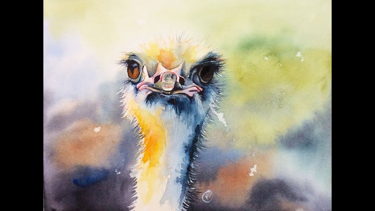 1280x720 Watercolor Ostrich Painting Demonstration - Ostrich Painting