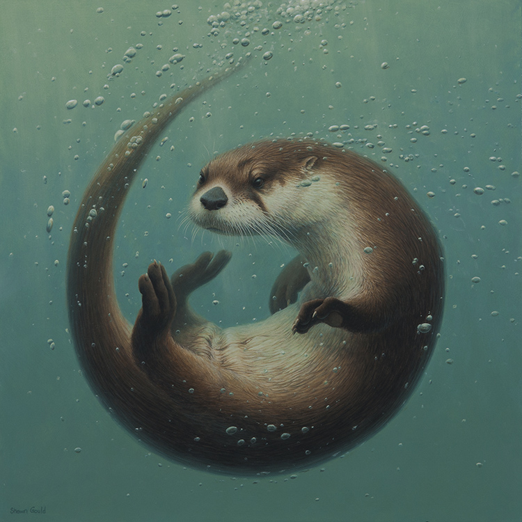 750x750 Otter Enso Shawn Gould - Otter Painting