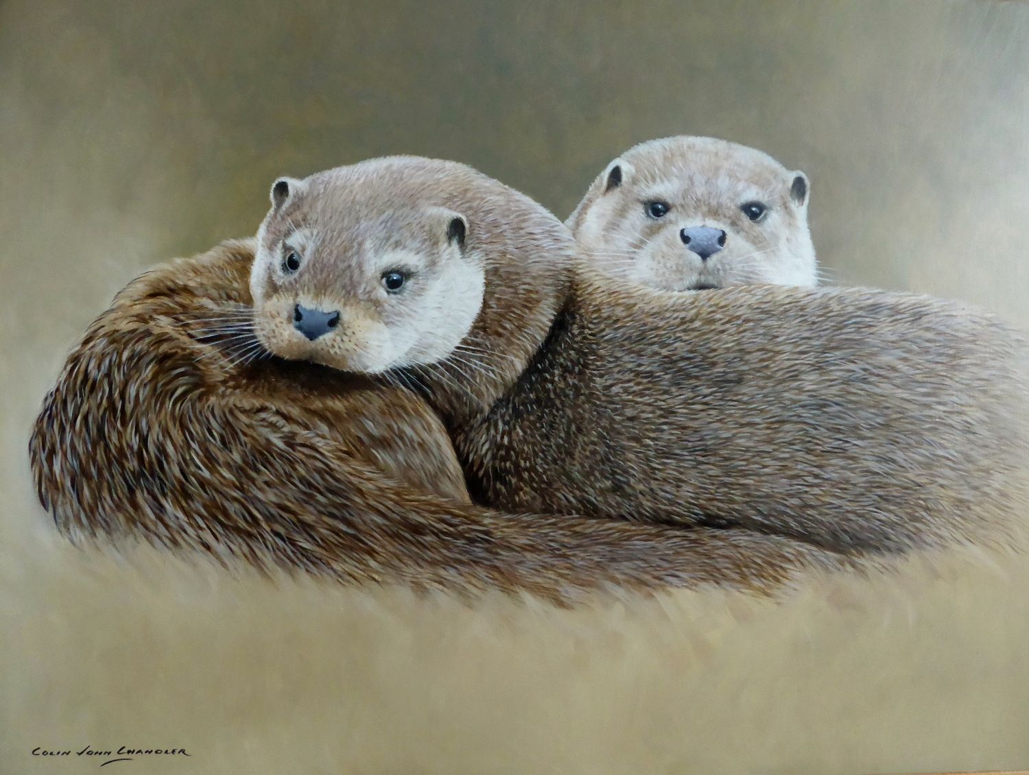 1500x1130 Colin John Chandler. A Pair Of Otters Otter Painting - Otter Painting