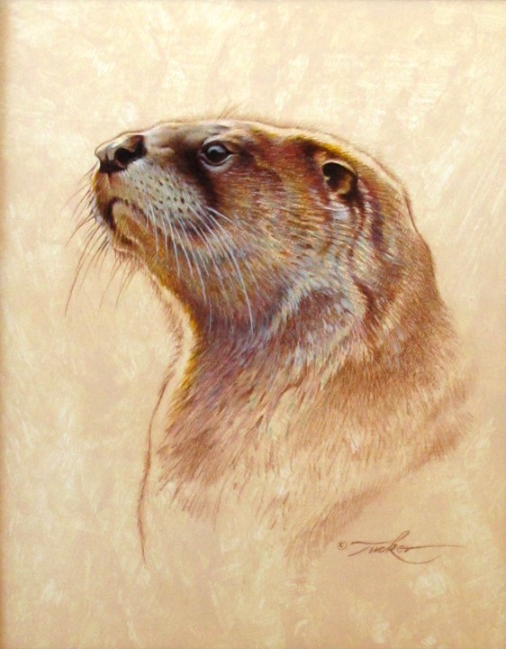 562x720 Ezra Tucker Painting River Otter Portrait Acrylic On Panel - Otter Painting