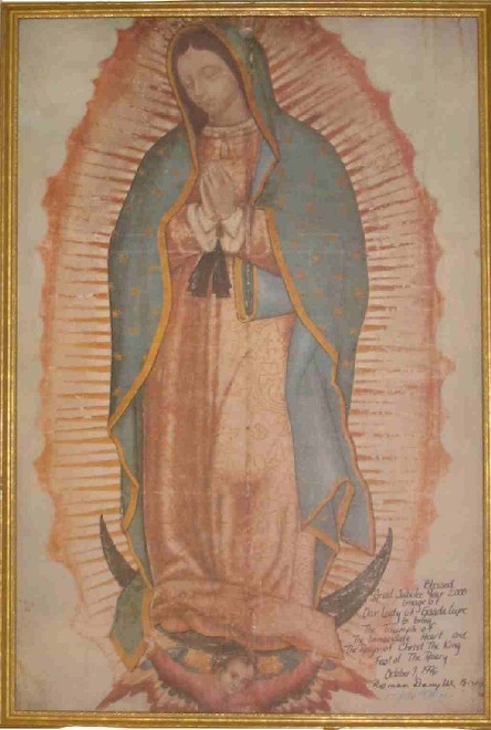 444x660 Our Lady's Image On The Tilma Our Lady Of Guadalupe - Our Lady Of Guadalupe Painting