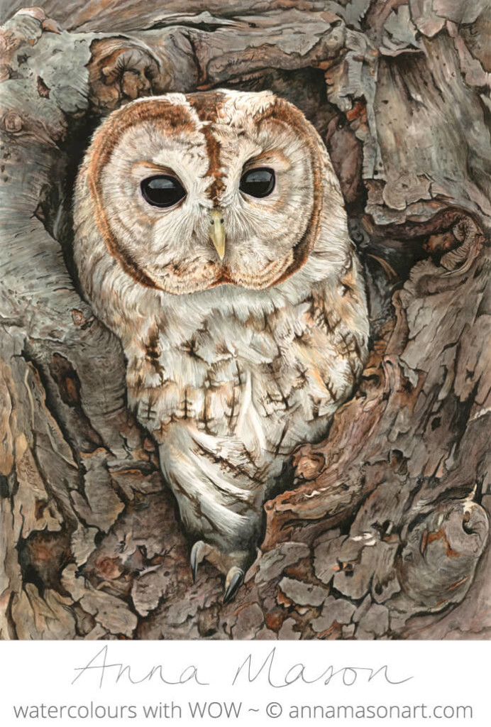 692x1024 How To Paint Realistic Shiny Owl Eyes - Owl Eyes Painting