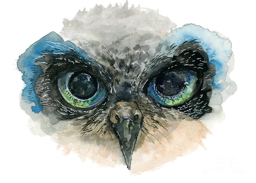 900x643 Owl Eyes Painting By Lauren Heller - Owl Eyes Painting