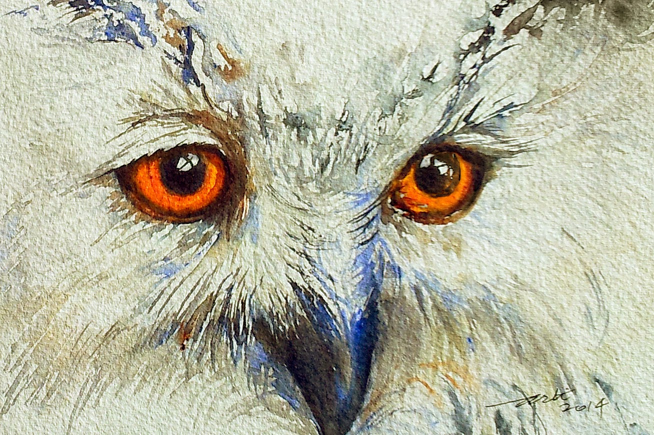 Owl Eyes Painting At PaintingValley Com Explore Collection Of Owl   Owl Eyes Painting 4 