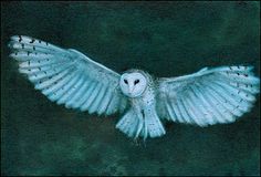 Owl Flying Painting