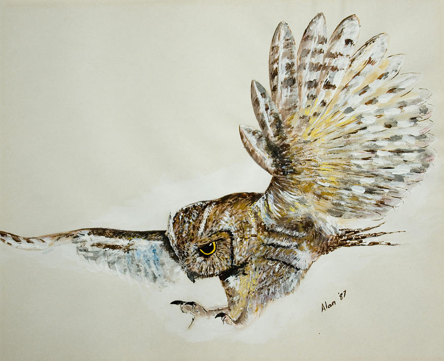 900x732 Owl In Flight Painting By Alan Pickersgill - Owl Flying Painting