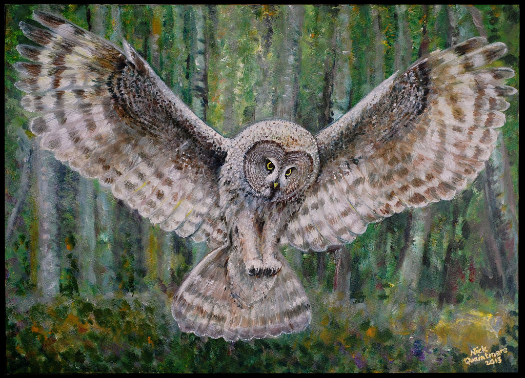 1024x738 Owl In Flight By Stoopsolo - Owl Flying Painting