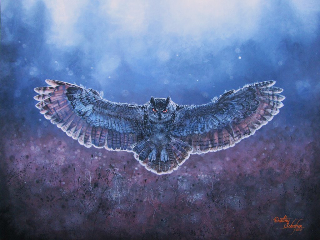 1024x768 Owl In Flight Painting By Straewefin - Owl Flying Painting