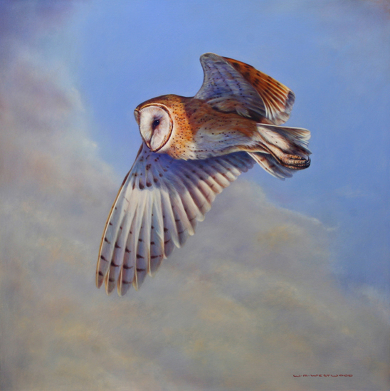 Owl Flying Painting At Paintingvalley Com Explore Collection Of