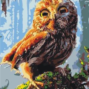 300x300 Diy Oil Painting Paint By Numbers Kit On Canvas Home Wall Hanging - Owl Oil Painting