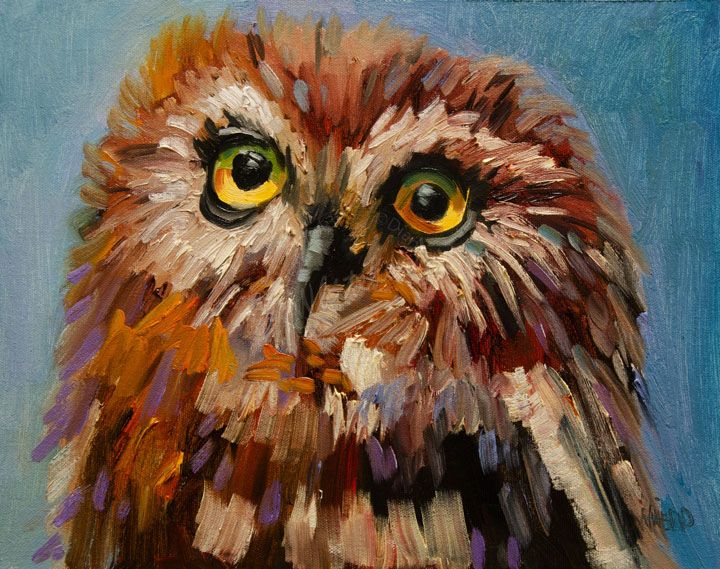 720x569 Daily Painters Abstract Gallery Artoutwest Owl Bird Animal Art - Owl Oil Painting