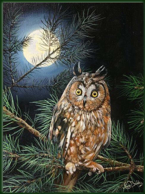 488x654 Long Eared Owl Nico Bulder Wildlife Painter - Owl Oil Painting