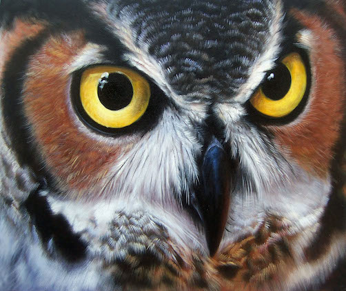 502x422 Owl Oil Painting By Catherine1987 - Owl Oil Painting