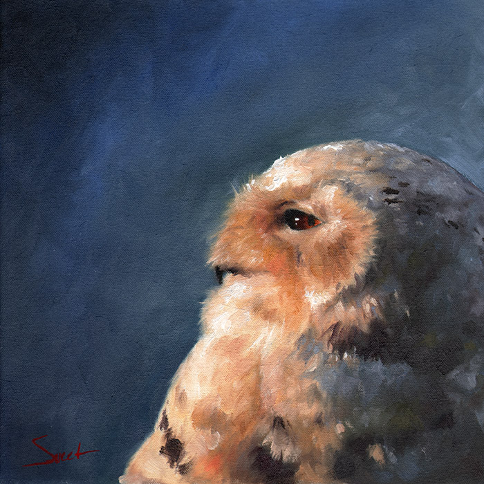 700x700 Snowy Owl Print Watercolor Animal Paintings - Owl Oil Painting