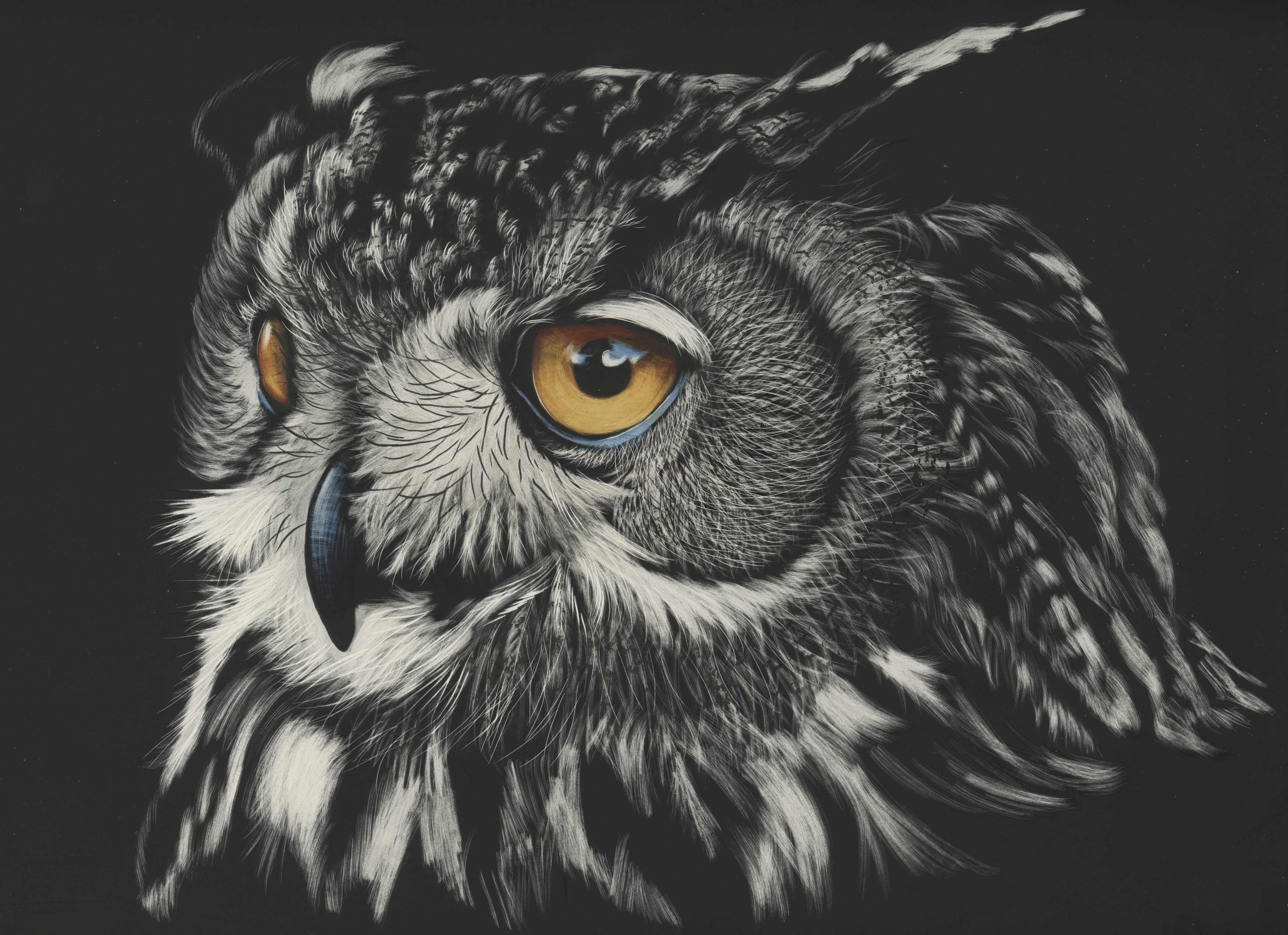 3503x2543 Owl Painting 4k, Hd Animals, 4k Wallpapers, Images, Backgrounds - Owl Painting