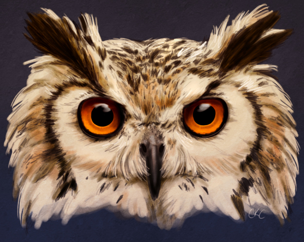 625x498 Owl Painting By Inonibird - Owl Painting