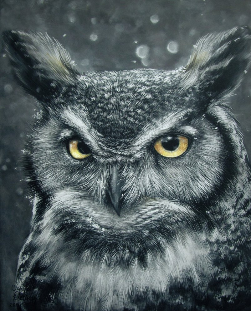 802x996 Owl Painting By Straewefin - Owl Painting
