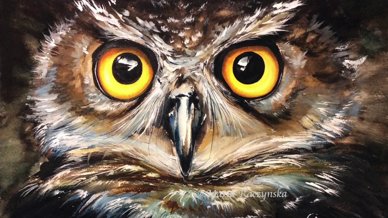 1280x720 Watercolor Owl Painting Demonstration - Owl Painting