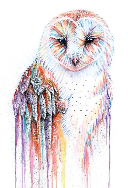 500x735 Bungalow Rose Barred Rainbow Owl Painting On Wrapped Canvas - Owl Painting