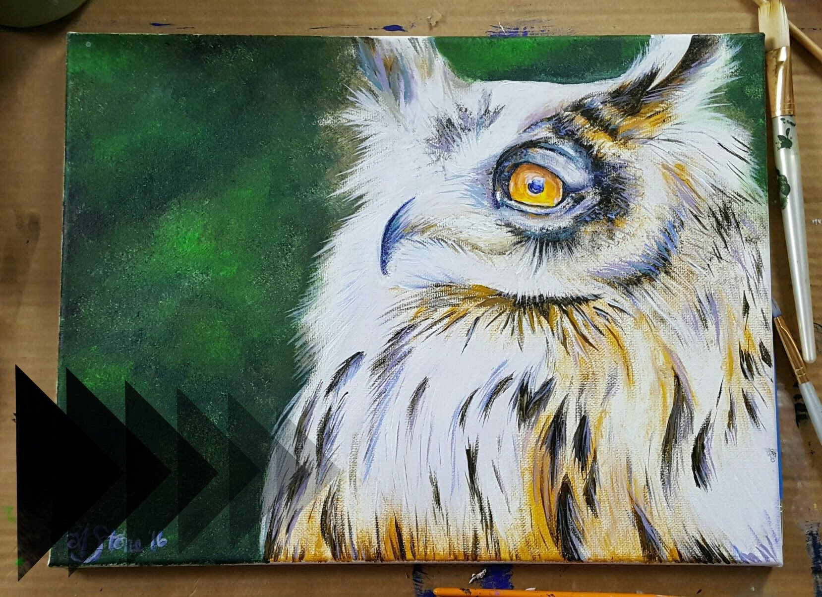 1658x1204 Owl In Acrylics - Owl Painting Images