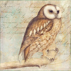 300x300 Barn Owl Paintings Fine Art America - Owl Painting Images