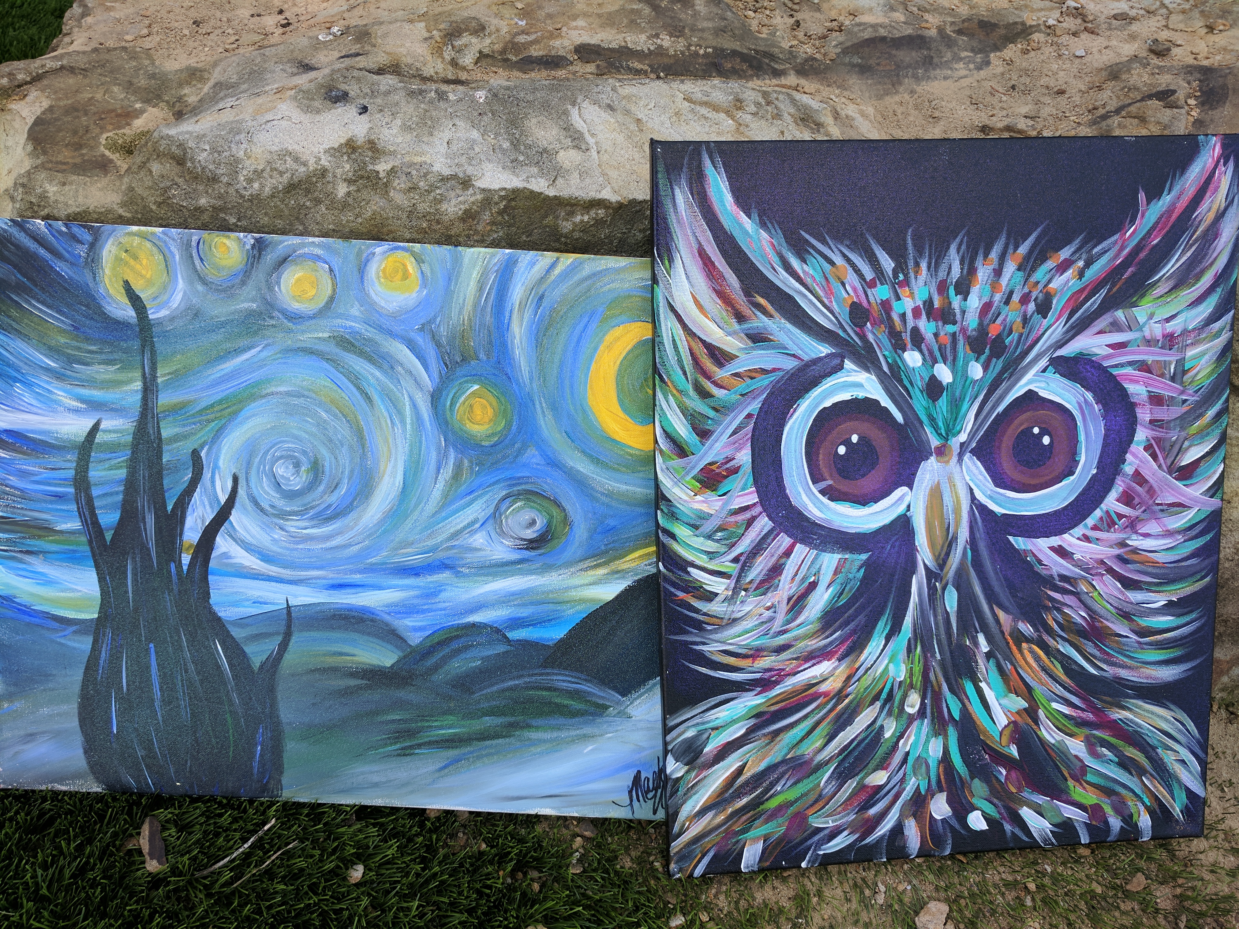 4048x3036 Make It Love It! Canvas Choice Starry Night Or Owl Canvas - Owl Painting On Canvas