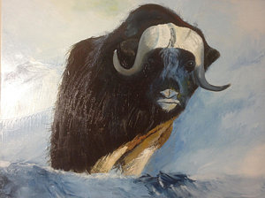 300x224 Musk Ox Paintings Fine Art America - Ox Painting