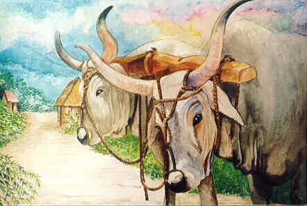442x296 Paintingsmenu - Ox Painting