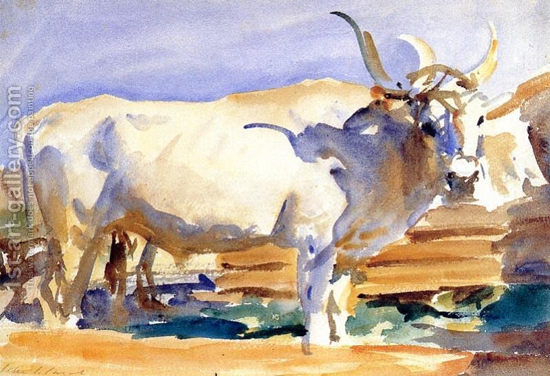 800x547 White Ox - Ox Painting
